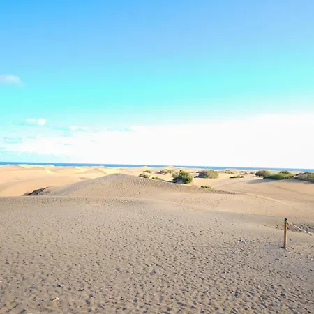 Olga, Playa Del Ingles 公寓 马斯帕洛马斯