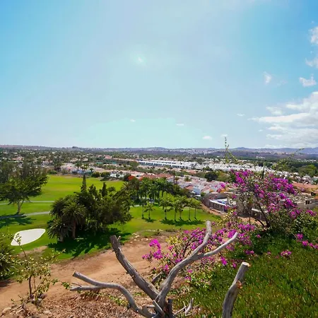 Olga, Playa Del Ingles 公寓 马斯帕洛马斯