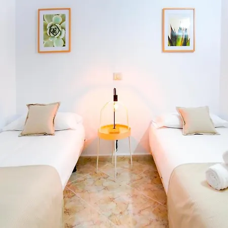 Olga, Playa Del Ingles 公寓 马斯帕洛马斯